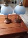 Set of 2 vintage goose neck lamps