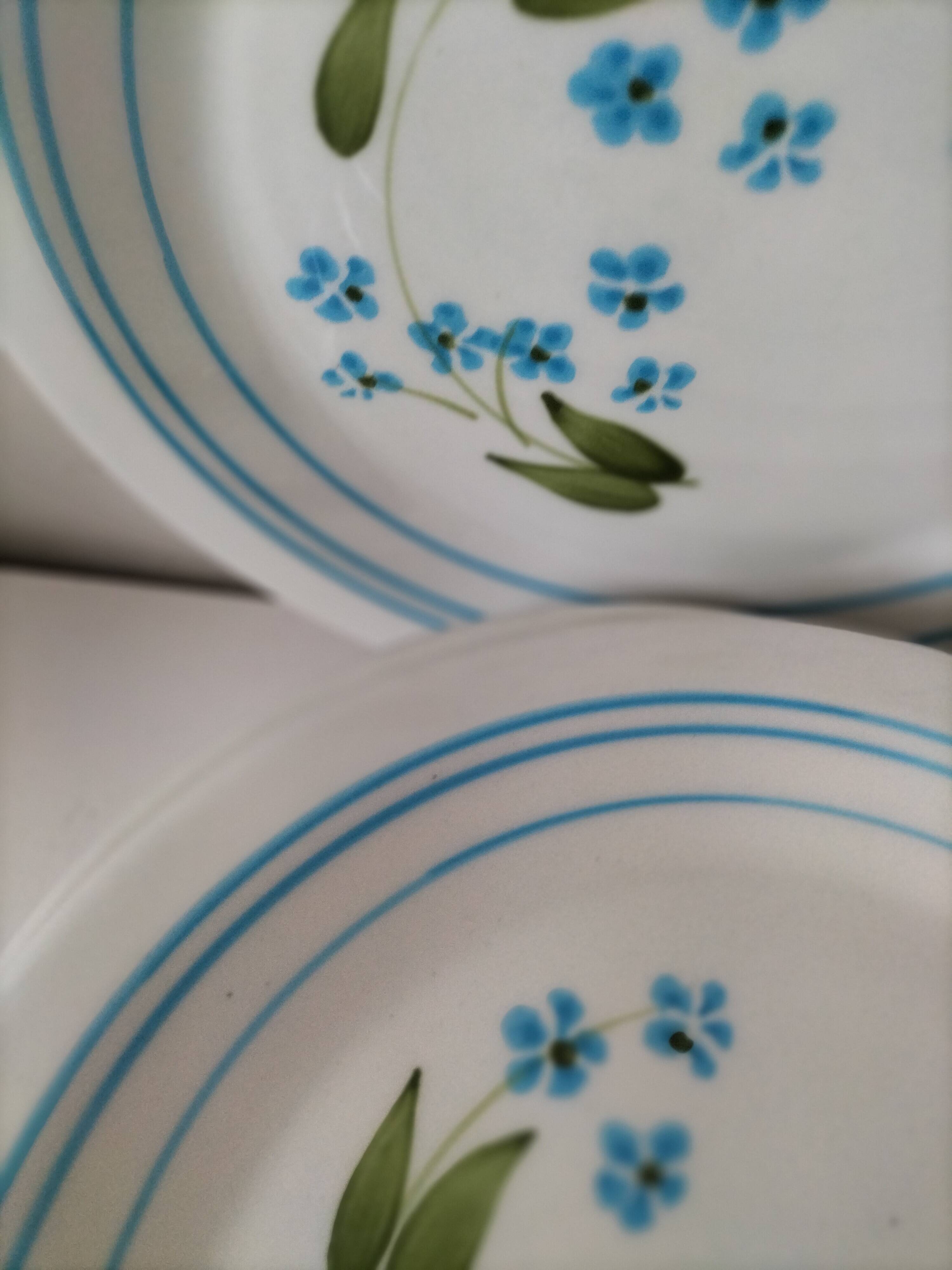 6 assiettes à dessert vintage Quadrifoglio italiennes décor myosotis