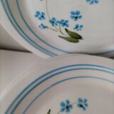 6 assiettes à dessert vintage Quadrifoglio italiennes décor myosotis