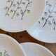 6 vintage flat plates from Gien, model Marie-Claire.