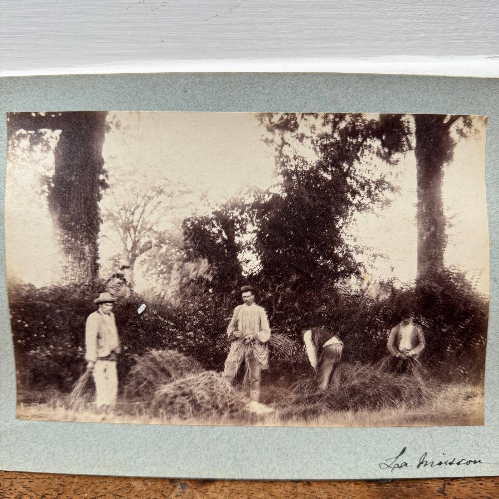Photo albumine contrecollée sur carton représentant des moissonneurs