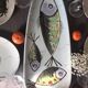 Set de 12 assiettes plates et grand plateau Poisson fruits de mer faïence Pornic France 60s