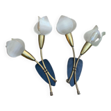 Tulip wall lights