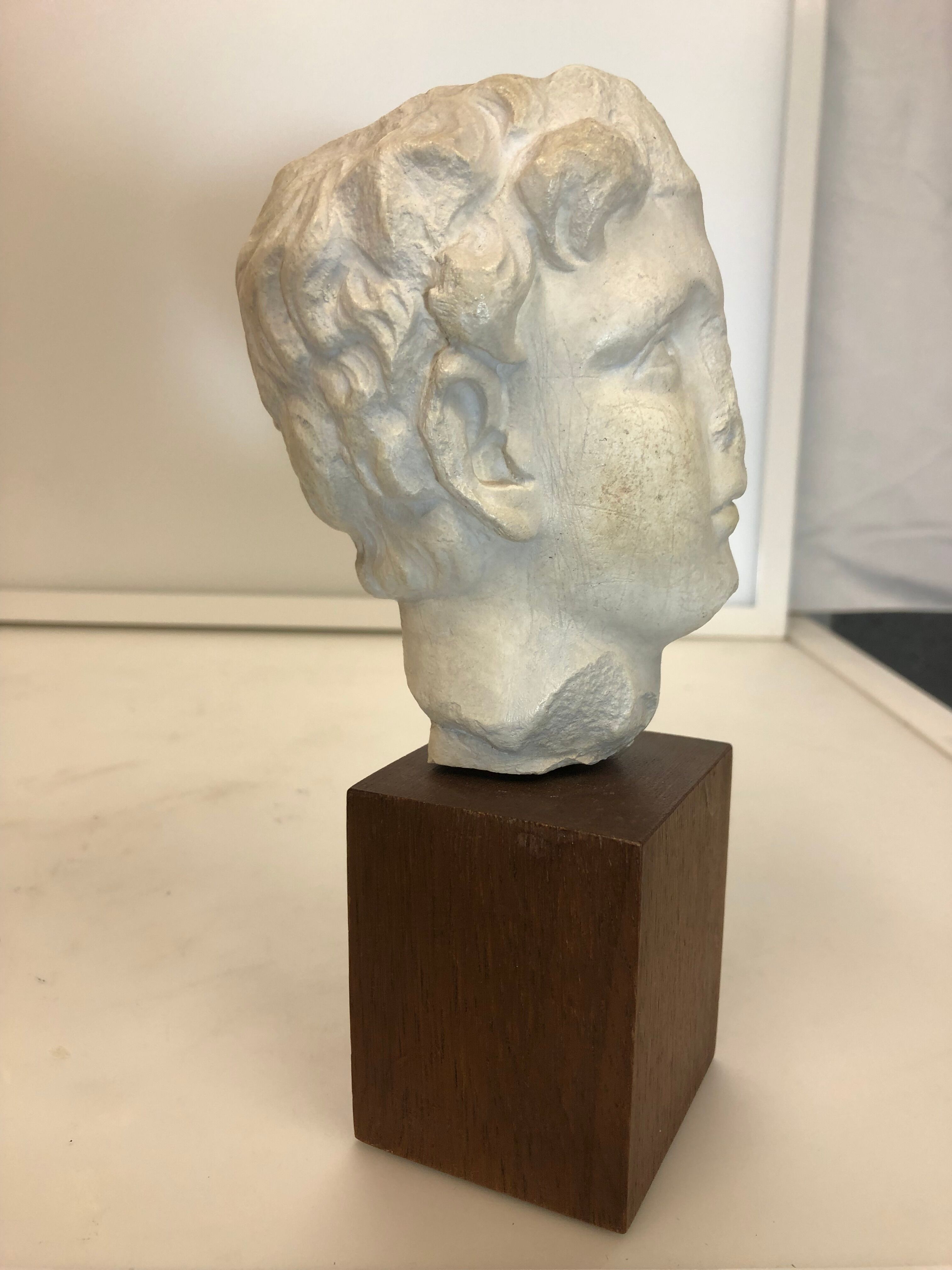 Statue bust roman man