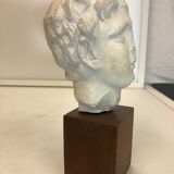 Statue bust roman man