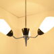 Mid-century Chandelier by Drukov,1960's.