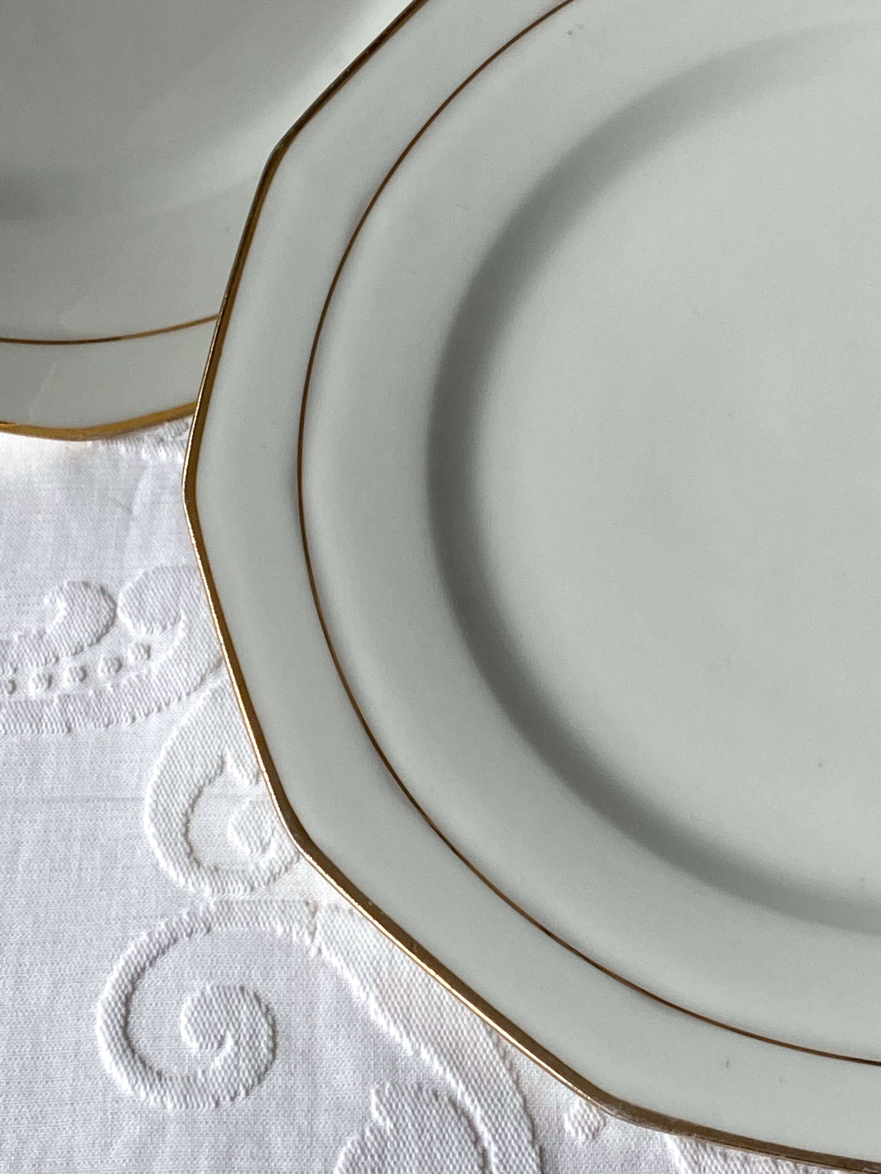 Limoges porcelain dinner plates
