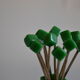 Set of 11 spades a aperitif epoque art deco in bakelite