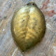 Old brass pocket vacuum, leaf.