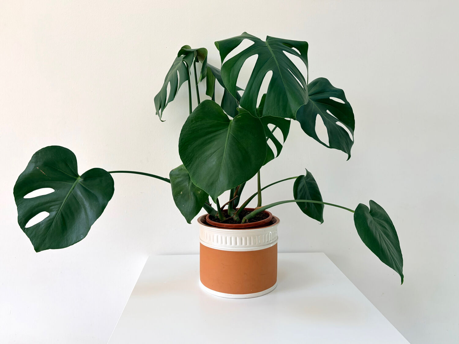 Terracotta cache-pot and slip - Maison Chaumette Paris