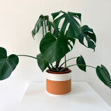 Terracotta cache-pot and slip - Maison Chaumette Paris