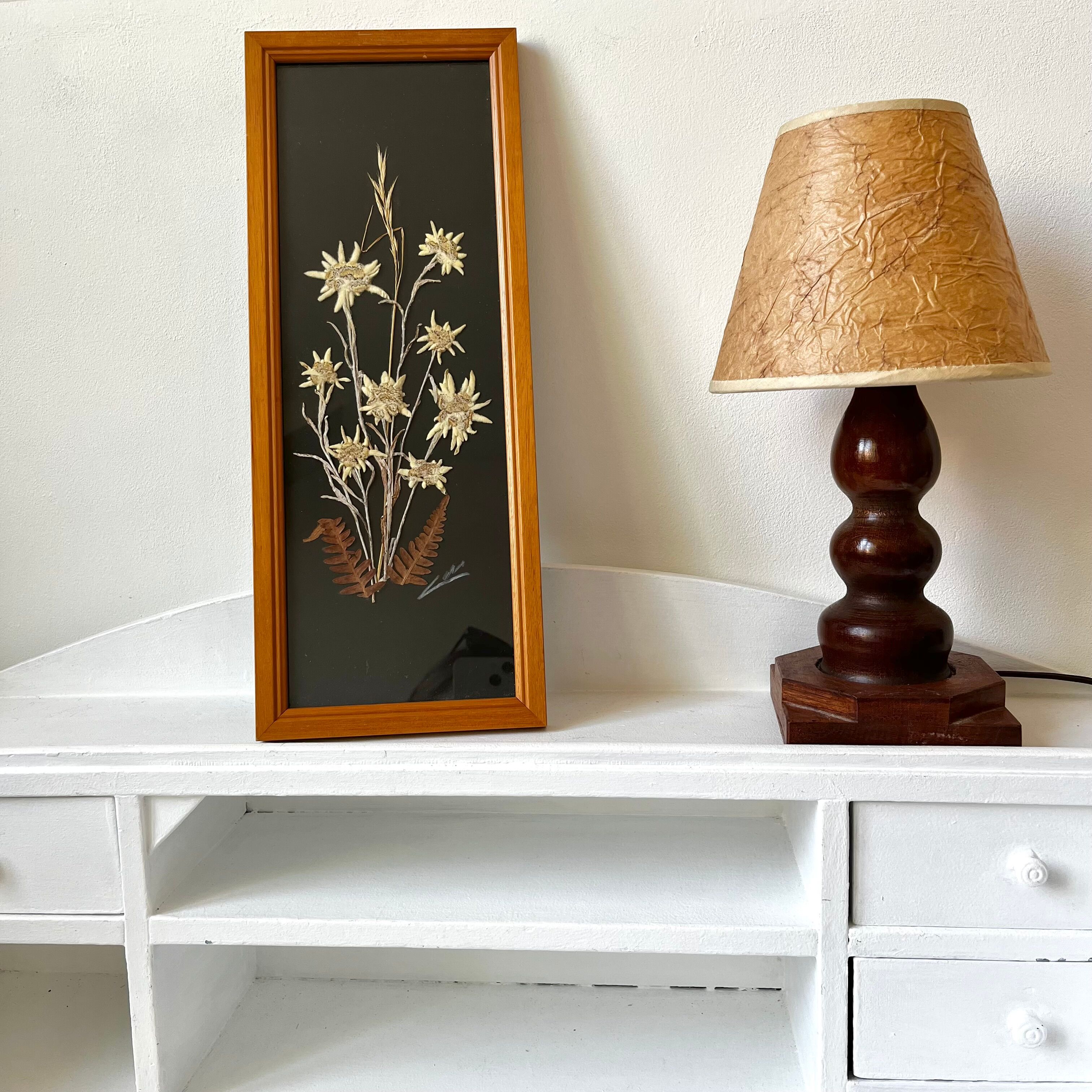 Vintage mountain edelweiss flower herbarium frame