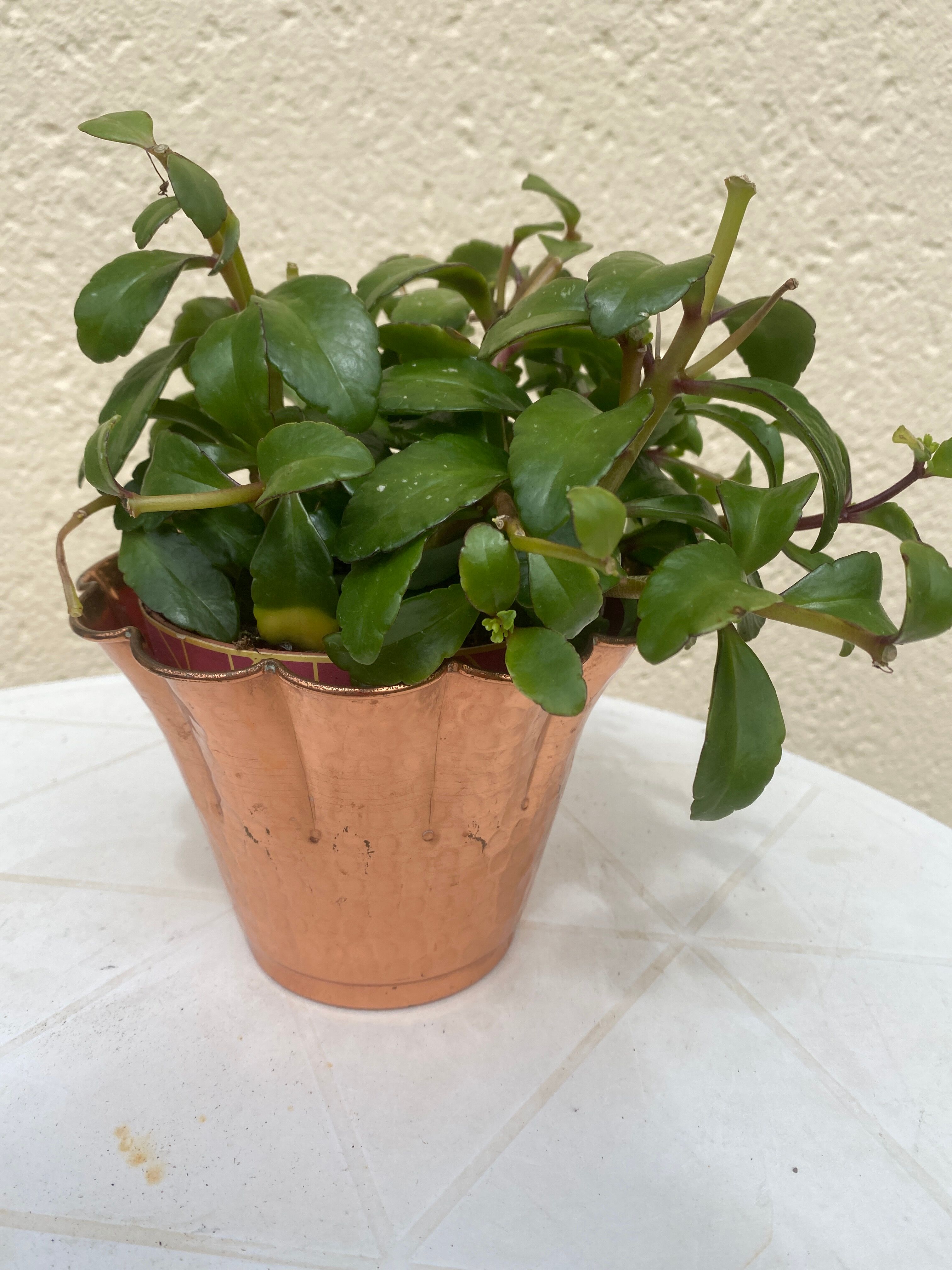 Copper pot cover Lecellier Villedieu vintage