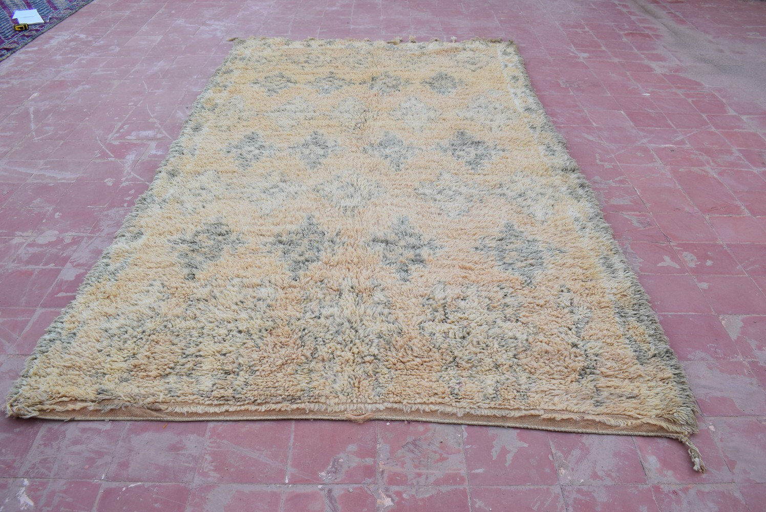 Carpet Mguild 305x170cm Beni