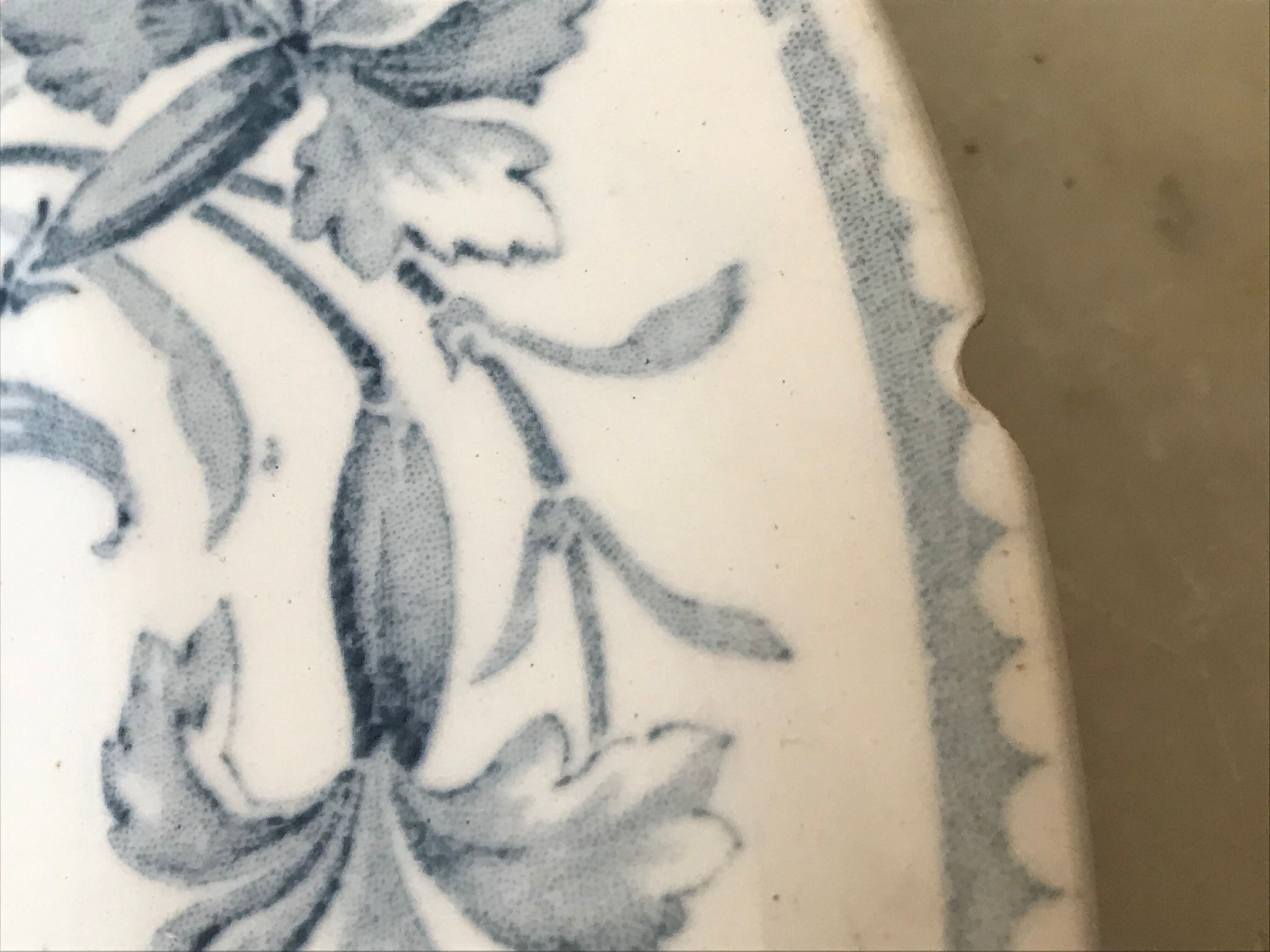 Lot of 6 plates Lunéville Art Nouveau