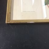Camellia frame and illustration