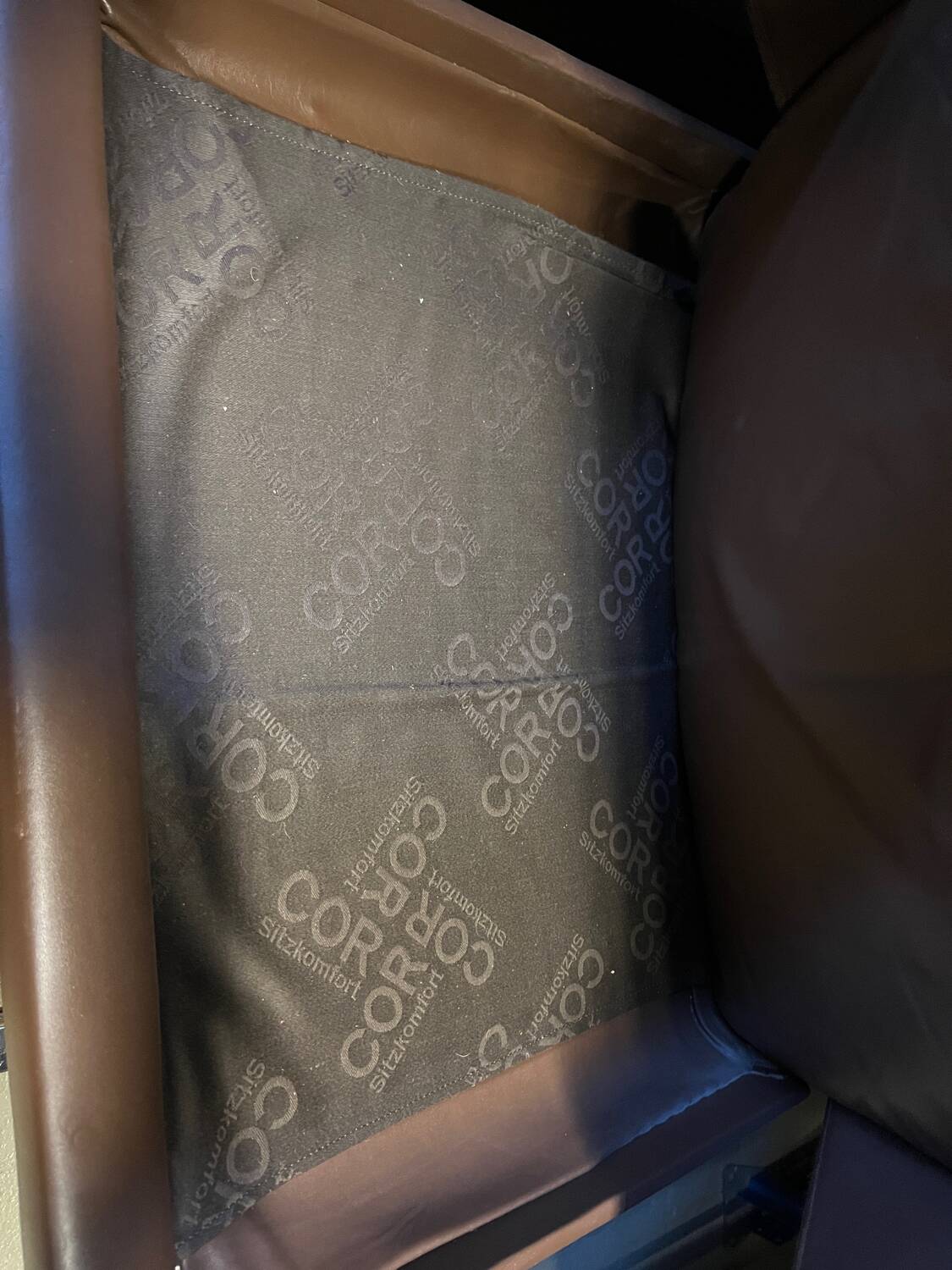 Swing Lounge Chair by Reinhold Adolf and Hans-Jürgen Schräpfer for COR, 197