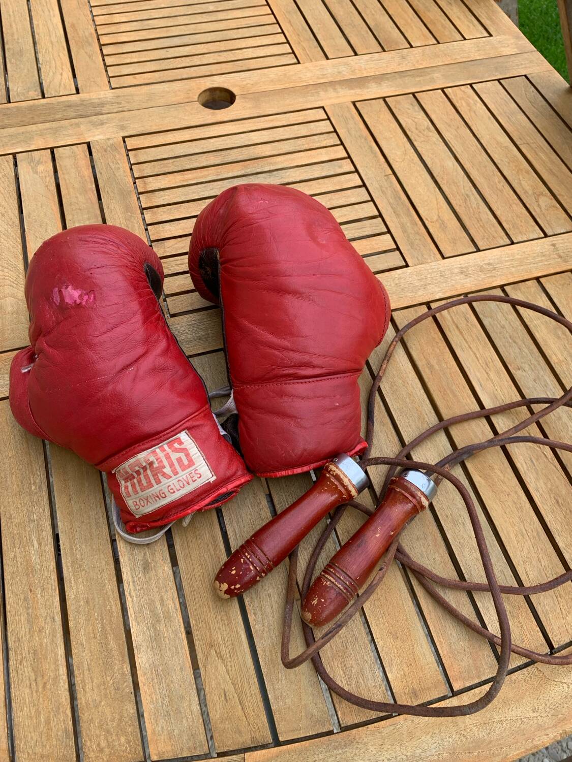 Boxing gloves plus jump rope with leather straps