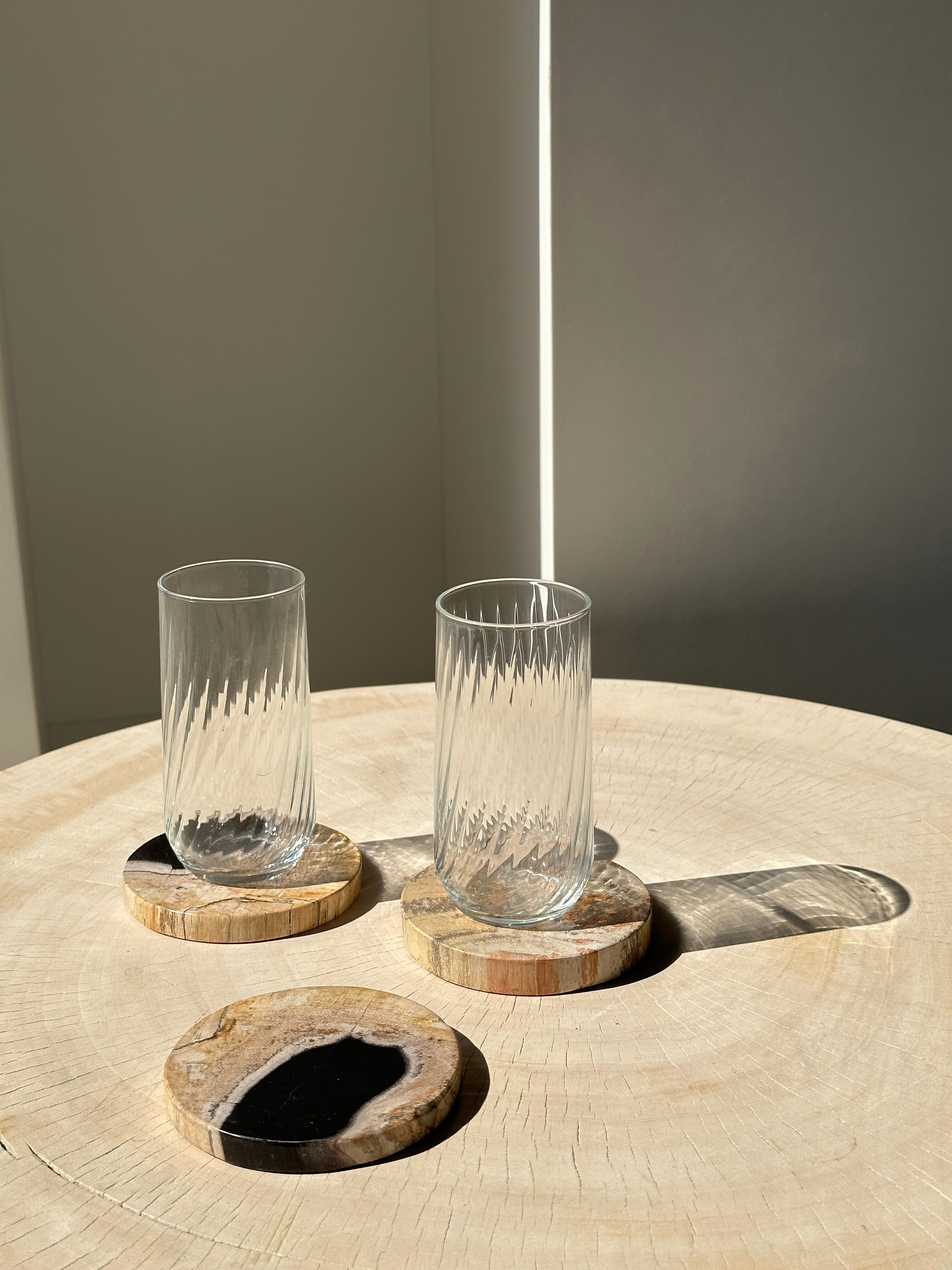 Set of 3 fossilized wooden coasters (clear)