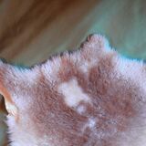 shiny sheepskin