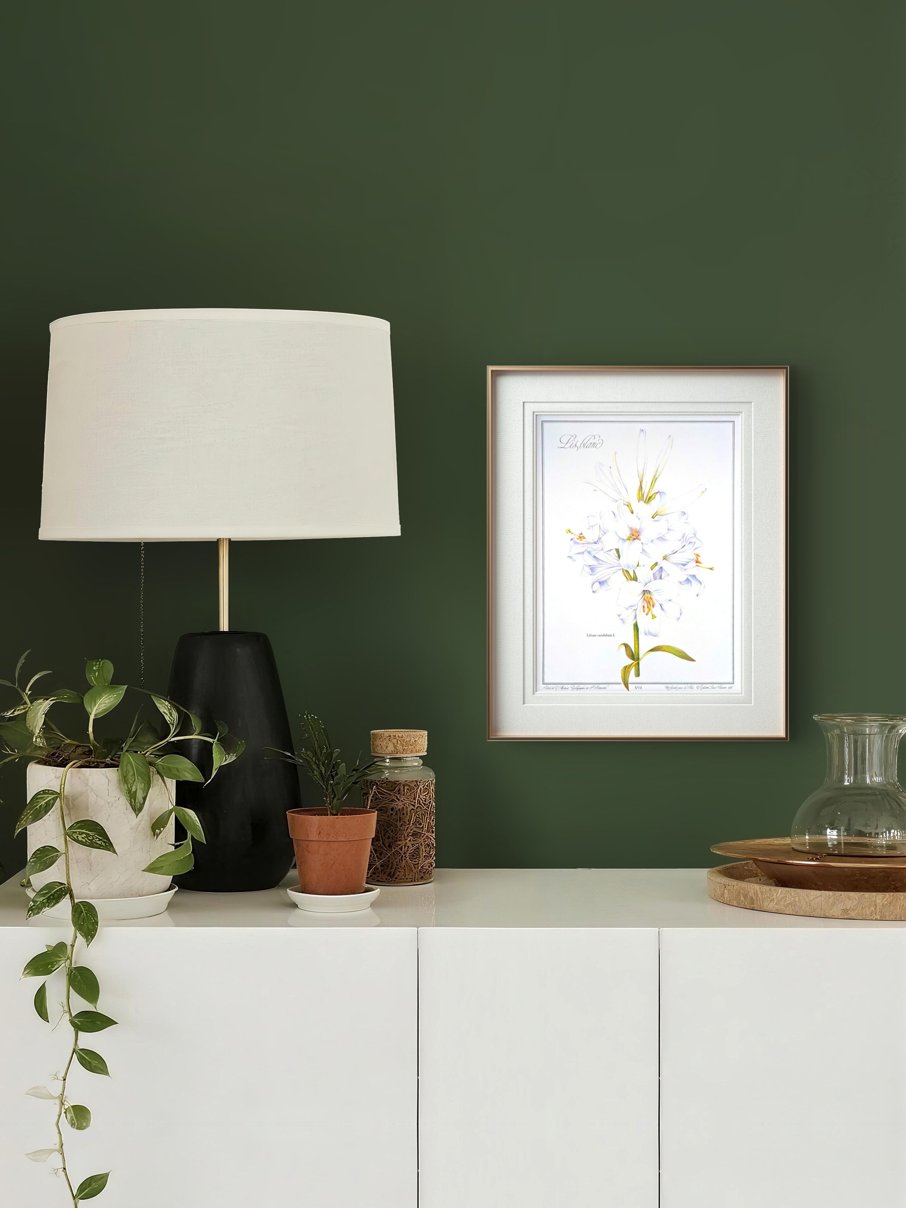 Printed in 1986, White Lily. Botanical plate.