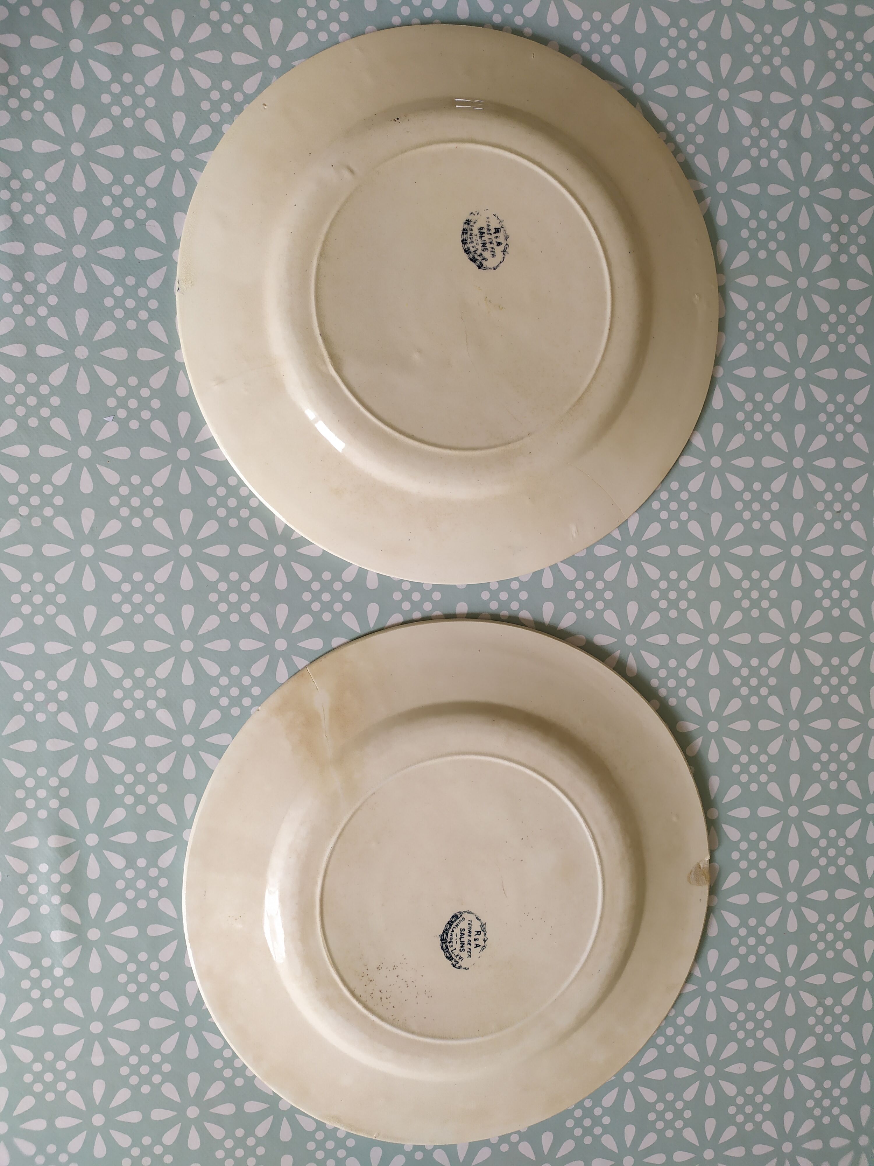 Set of 2 flat plates Terre de fer Salins Louis XVI