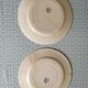Set of 2 flat plates Terre de fer Salins Louis XVI