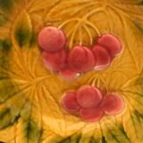 6 assiettes en barbotine fruits Sarreguemines