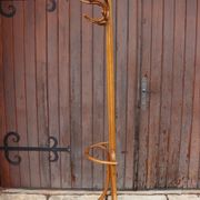 Portemanteau perroquet mural en demi style Thonet, 1900