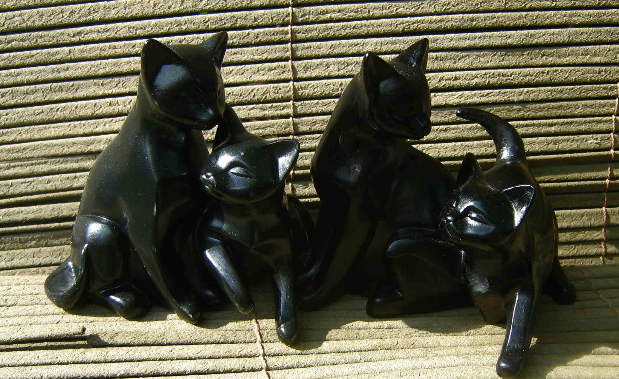 Lot de 4 chats noirs