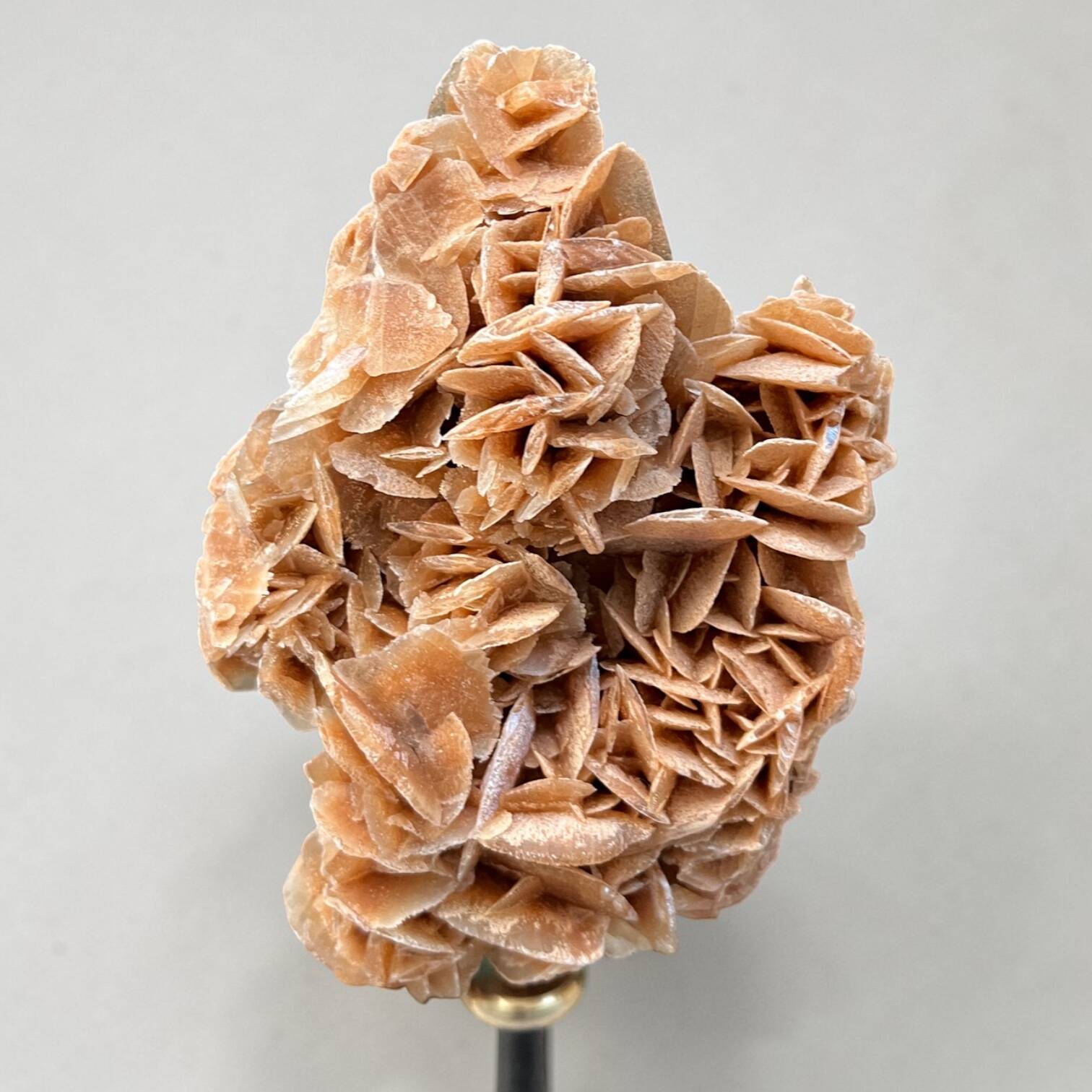 Sand rose on a turned black wooden base, late 19th century curiosities.