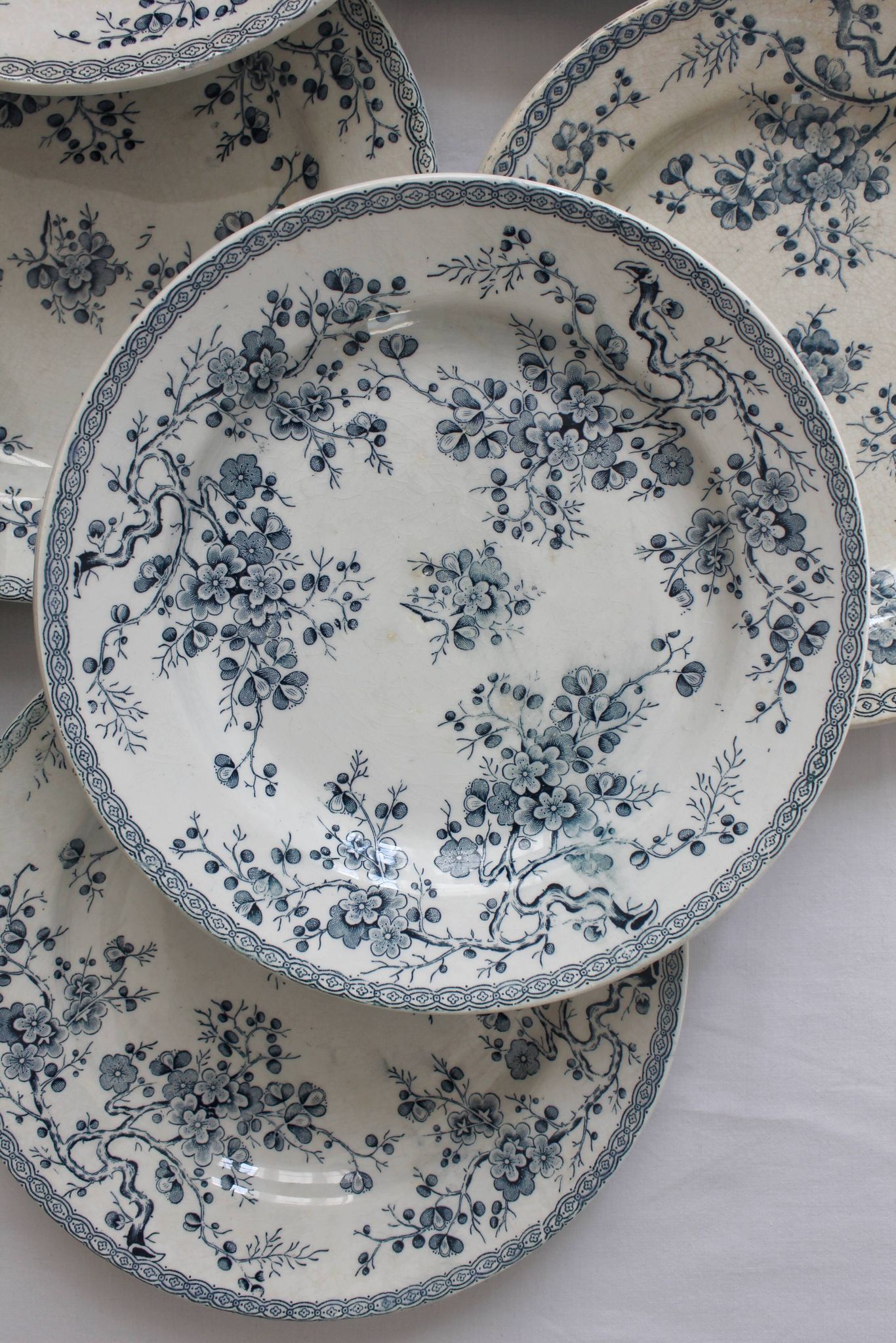 10 flat plates in iron earth "Fleurette" Gien gold medals