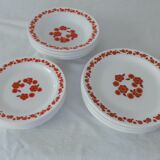 18 plates lotus arcopal vintage orange flowers
