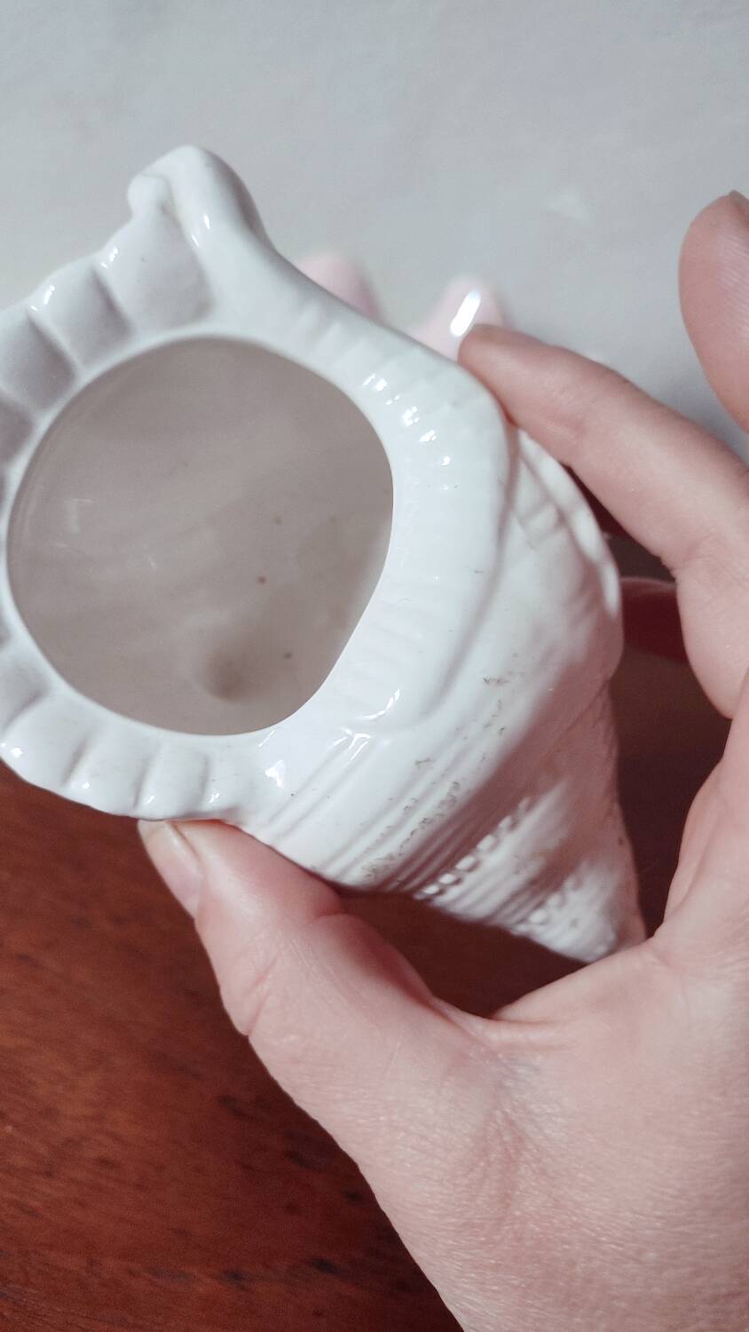 Duo of ceramic shell-shaped storage compartments