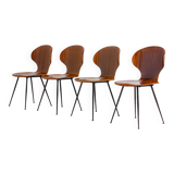 Set of four plywood 'Lulli' chairs by Carlo Ratti, Italy, 1950s