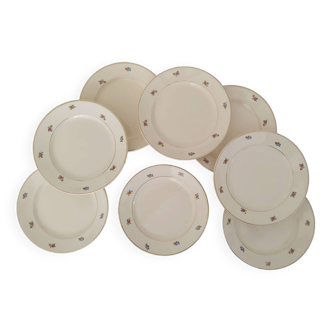 Vintage Badonviller Half Porcelain Dinner Plates
