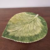 Cabbage leaf dish with slushie