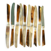 Set of 10 old knives in horn and steel 1920 dessert fruit