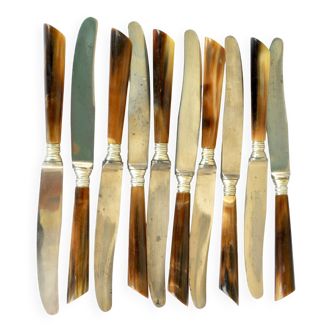 Set of 10 old knives in horn and steel 1920 dessert fruit