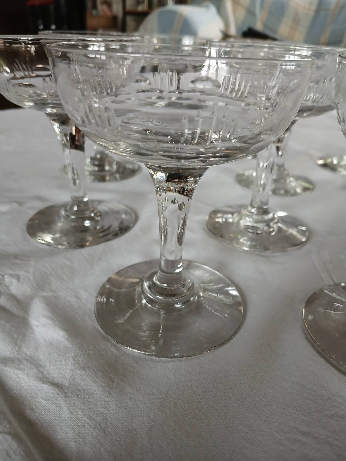 11 antique champagne glasses