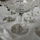 11 antique champagne glasses
