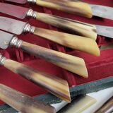 20 table knives with steel blades and horn handles