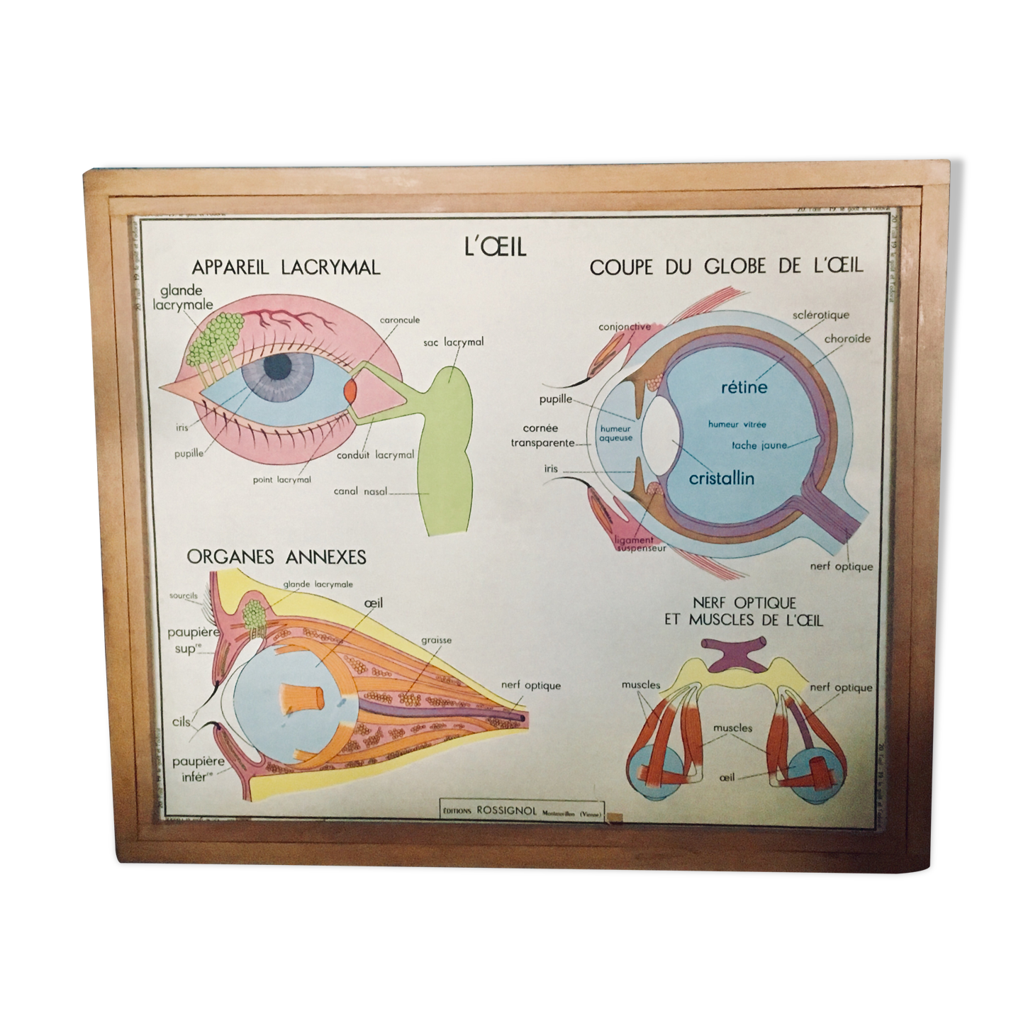Rossignol School Poster Table
