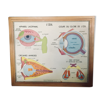 Rossignol School Poster Table