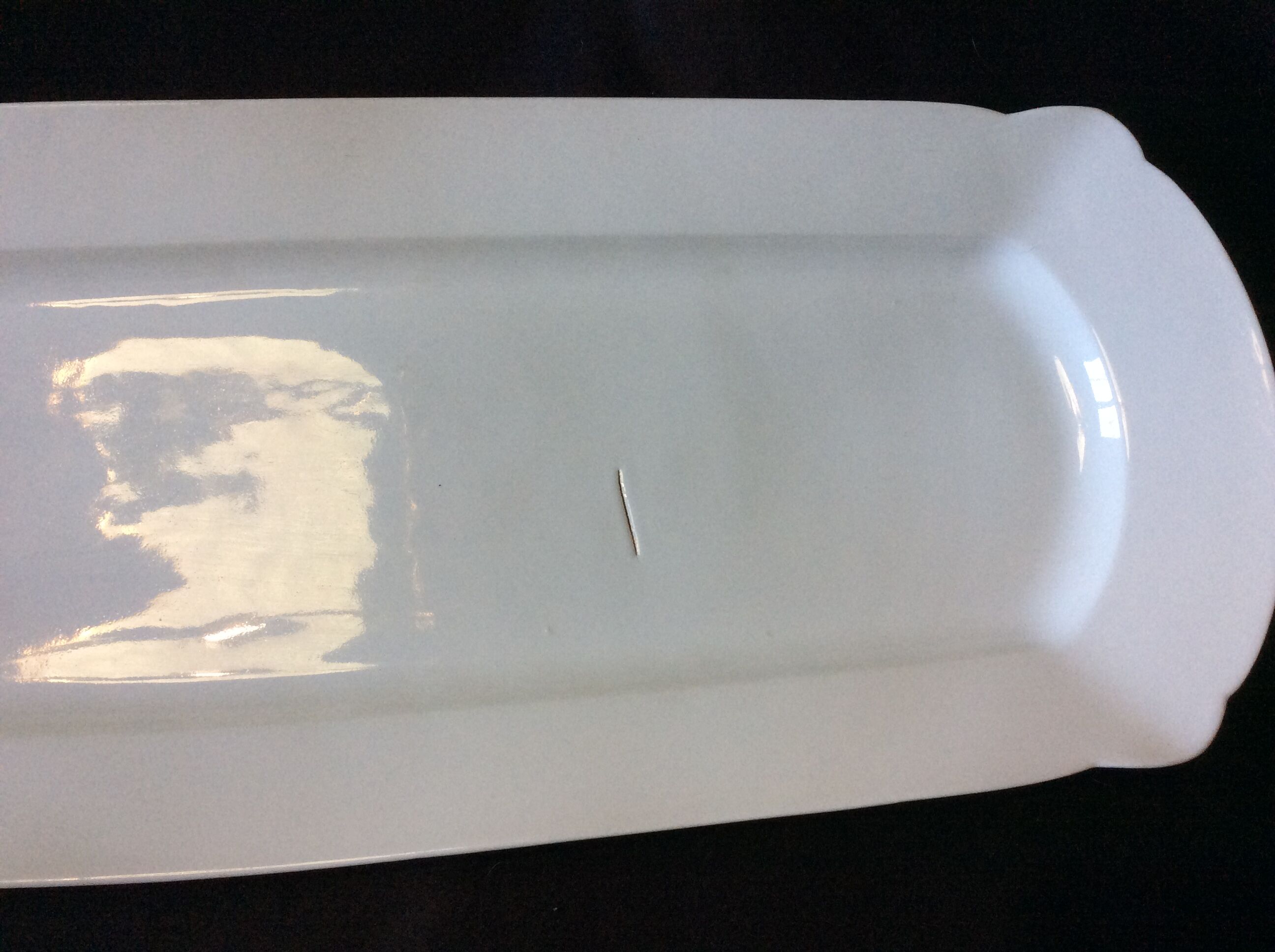 White dish, fish dish