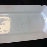 White dish, fish dish