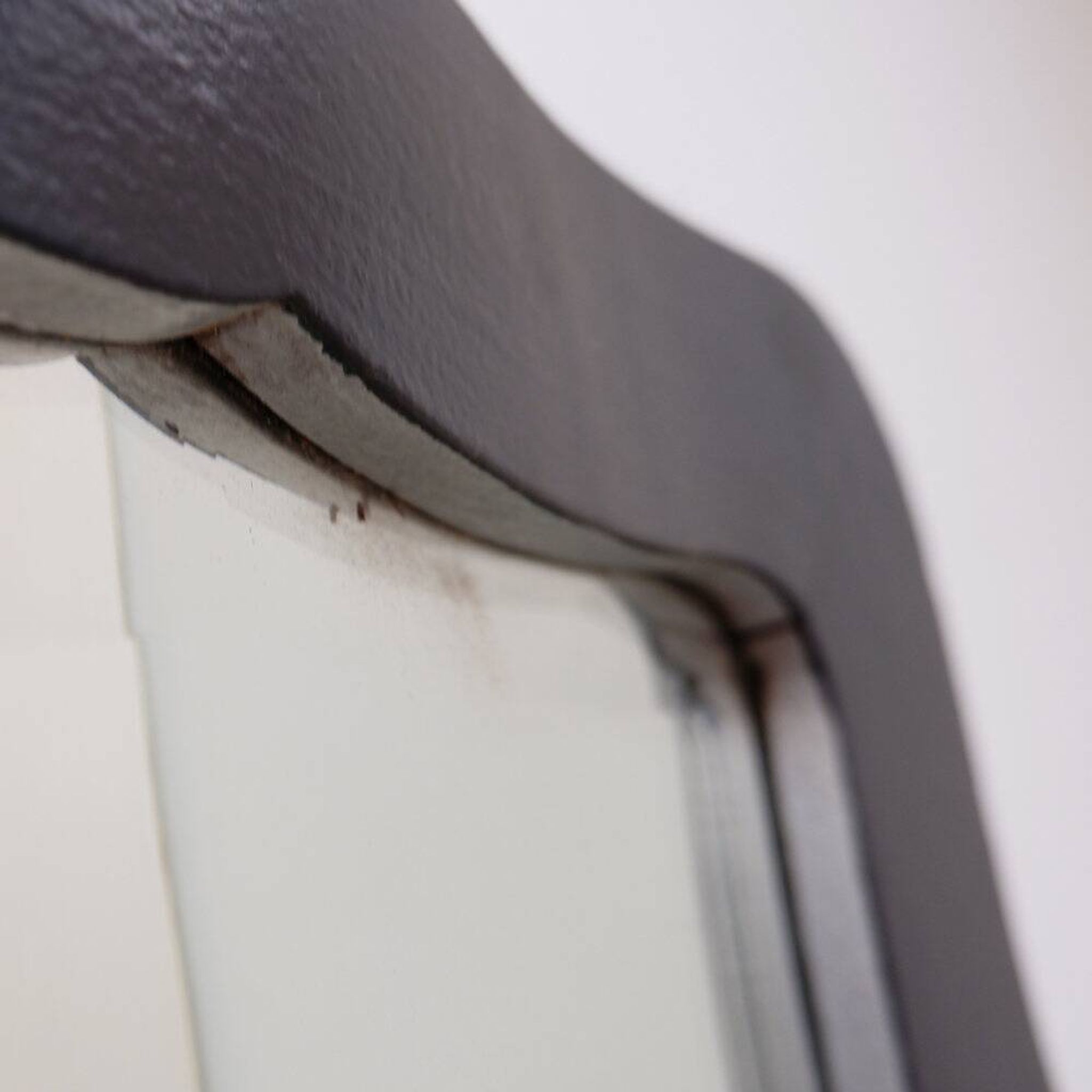Miroir déformant convexe et concave vintage - 20ème siècle
