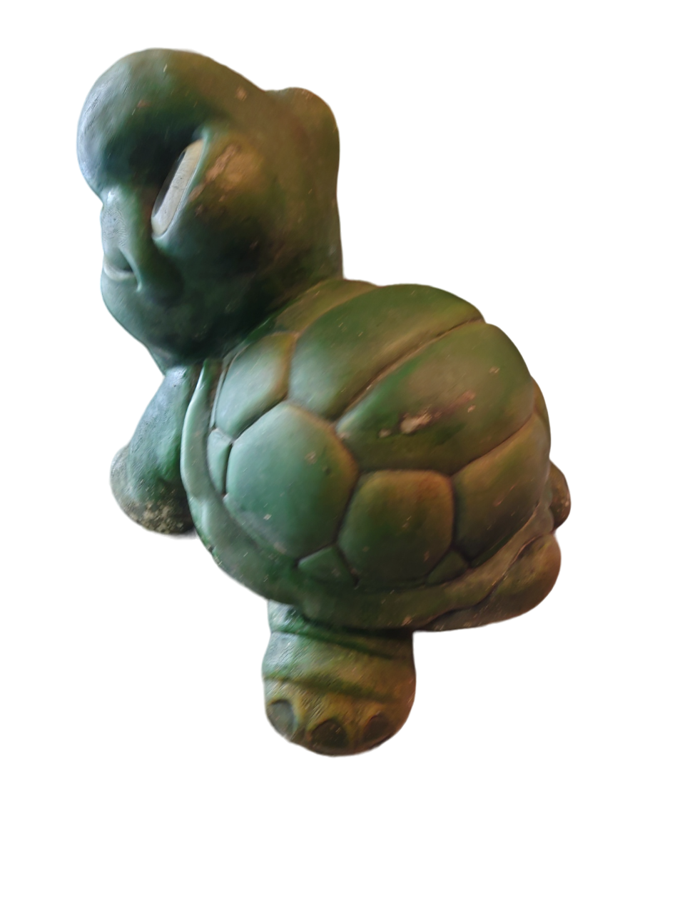 Green turtle in concrete