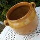 Terracotta pot