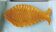 Fish dish Vallauris Lunetta